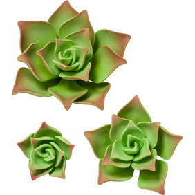 Gumpaste Green Succulents Cake Toppers 3 Pk