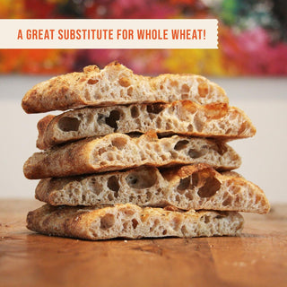 Organic Hard Red Wheat Berries