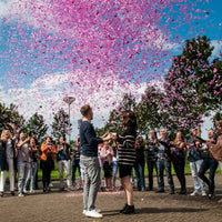 Gender Reveal Confetti Girl Popper