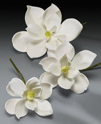 Gum Paste Flowers - Cake Topper - Magnolia 3 Piece